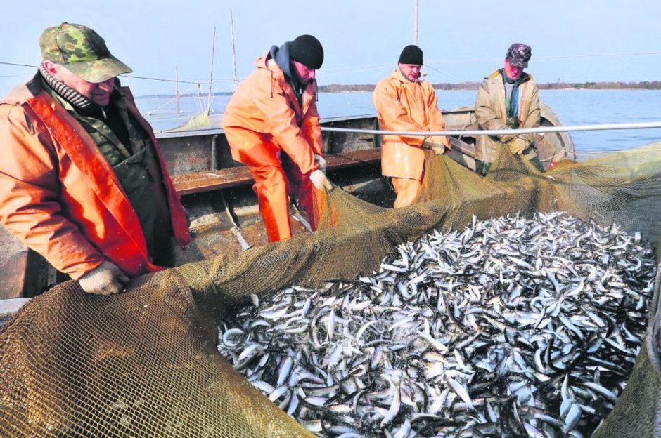 Lietuvos žuvininkystei iki 2027 metų bus skirta 87 mln. eurų