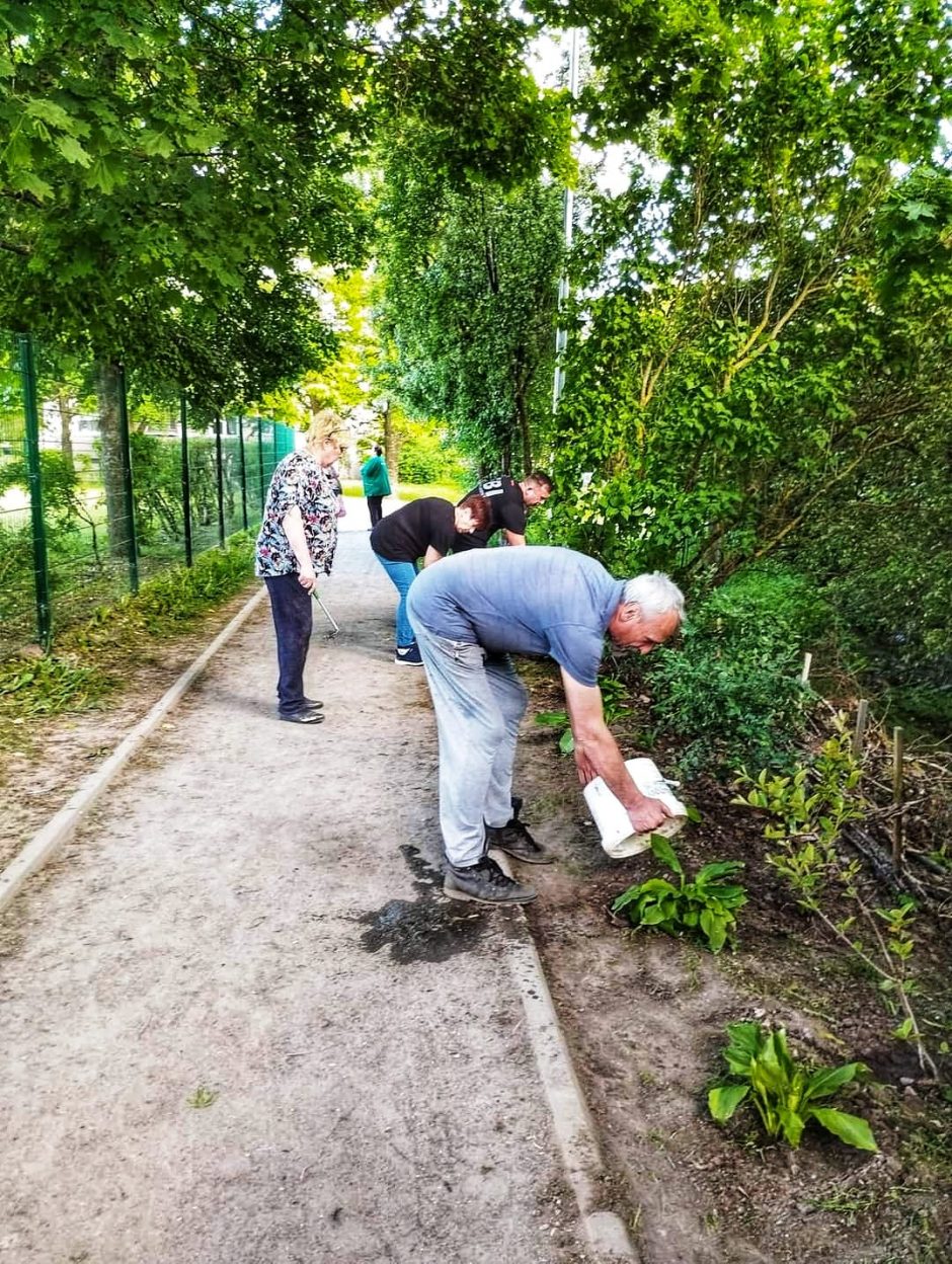 Vilniečių pasodinti krūmai – jau žaliuoja kiemuose