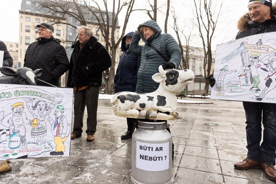 Pieno supirkimo kaina vasarį toliau mažėjo