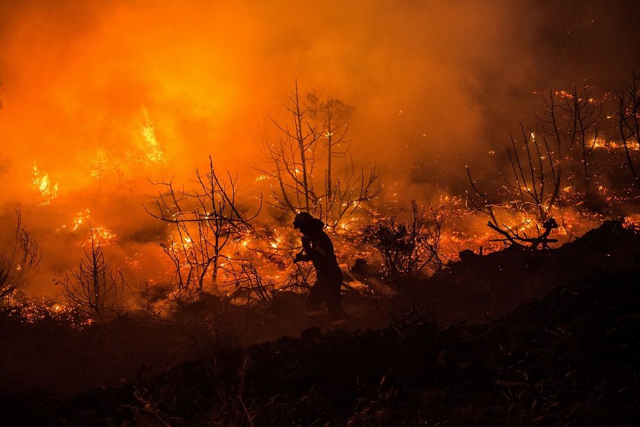 Netoli Dubrovniko kroatų ugniagesiai kovoja su gaisru