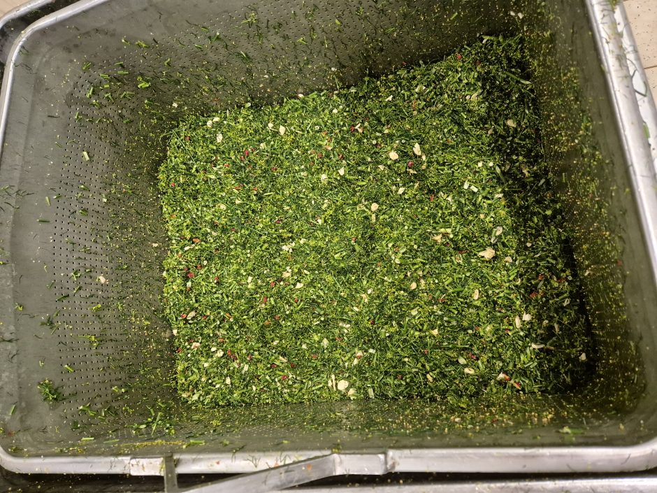 Kiekvienam lietuviui – po stiklainį: įsibėgėja agurkų konservavimo sezonas 