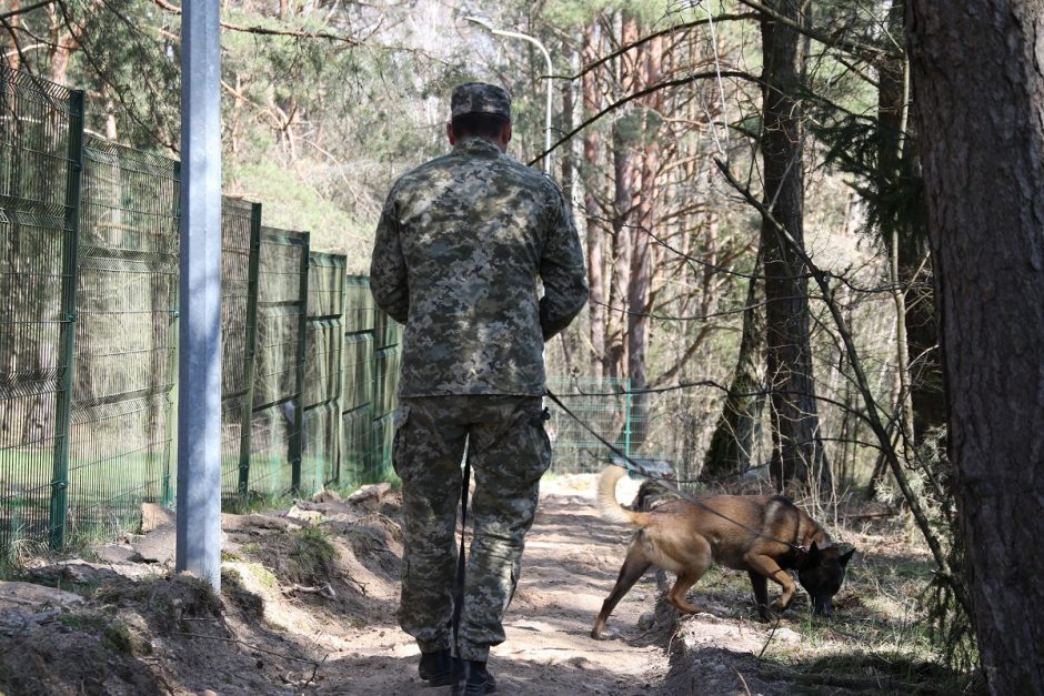 Šunys Ukrainoje gelbės gyvybes: lietuviai moko juos ieškoti minų