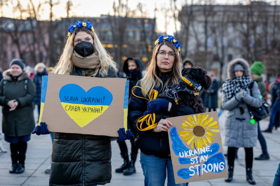 D. Gailienė: iššūkiai pažadina dar nematytus žmonių resursus ar galias