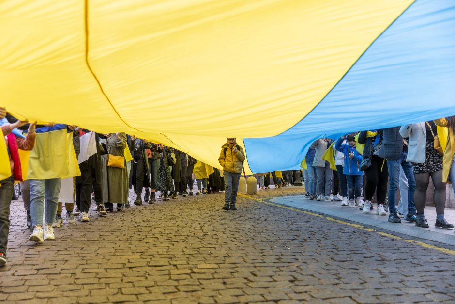 Seime bus minima Ukrainos Konstitucijos diena