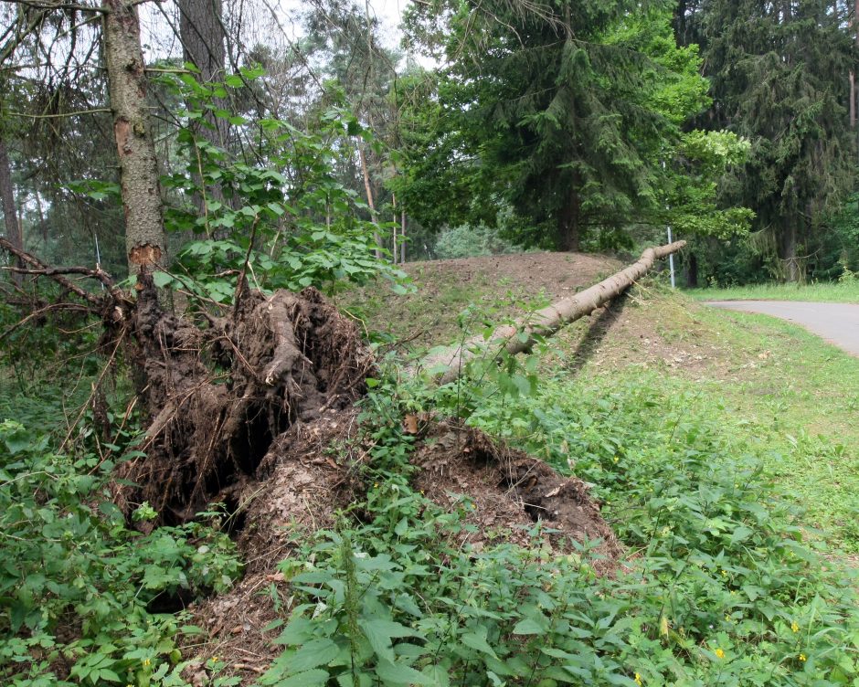 Sausra ir škvalai intensyvina pakaunės tarnybų darbą