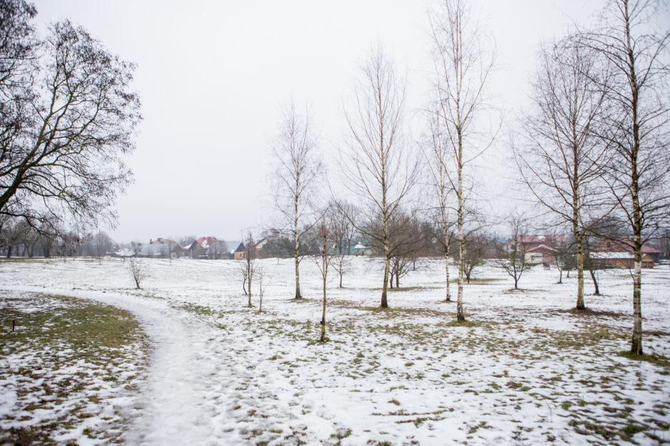 Apšepusią teritoriją pavertė žaidimų parku