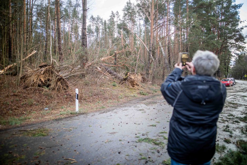 Vėjas laužo medžius, kelia biotualetus ir stendus, 20 tūkst. vartotojų – be elektros