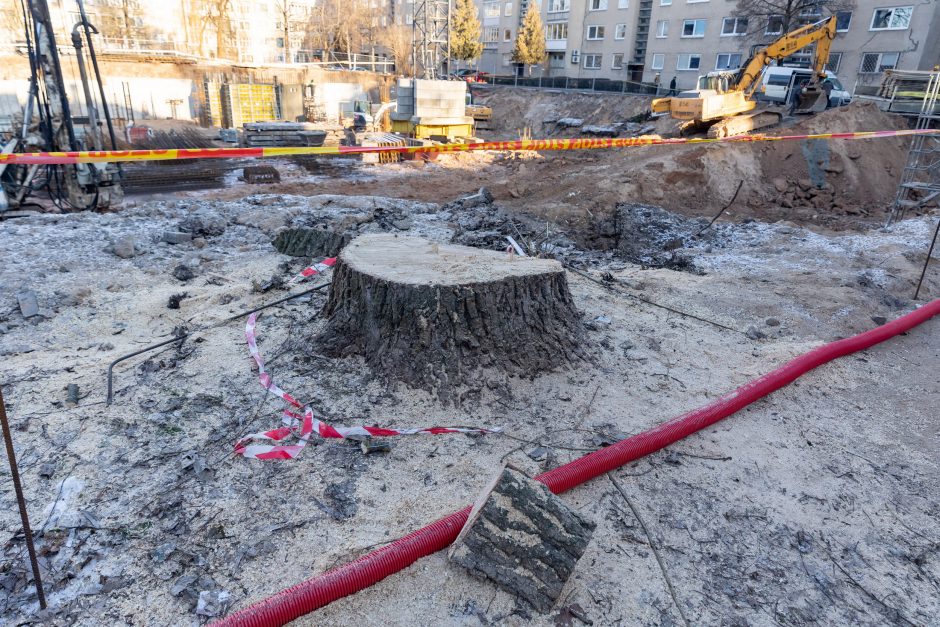 Savavališkai medžius nukirtusių plėtotojų laukia teisminis procesas