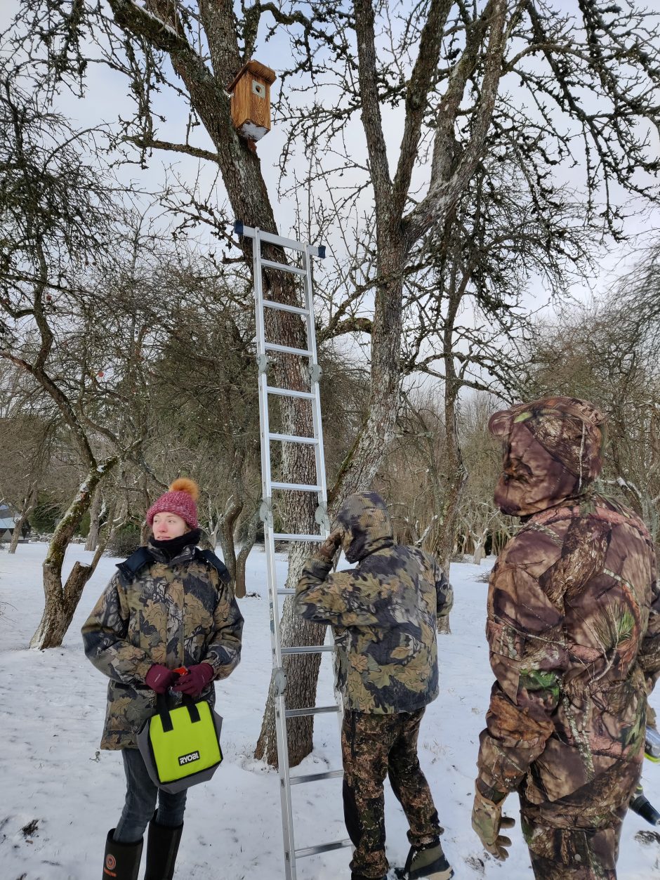 Obelynėje – įvadas į spalvingą projektą