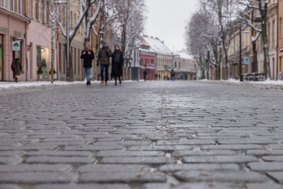 Vilniaus gatvė: ar ne per anksti liejasi kritika?