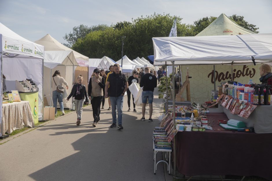 Kaunas Santakoje vis dar švenčia 615-ąjį gimtadienį
