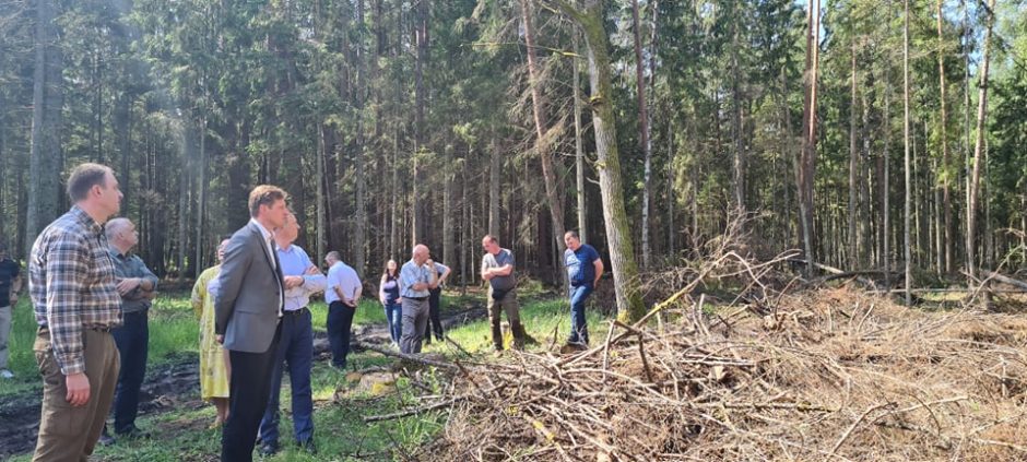 Prezidentūra: Punios šilas iliustruoja, kad reikia naujos miškų strategijos