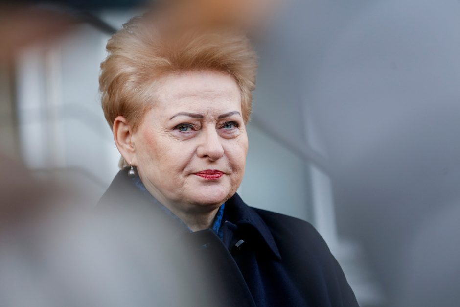 D. Grybauskaitė: tai, kas vyksta Ukrainoje, yra ir NATO šalių neveiksnumo kaltė