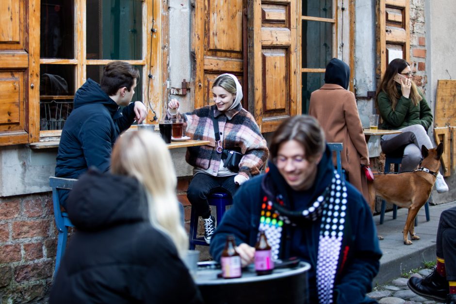 Premjerė apie galimybių paso kūrimą: tikrai ne karvę kainuos