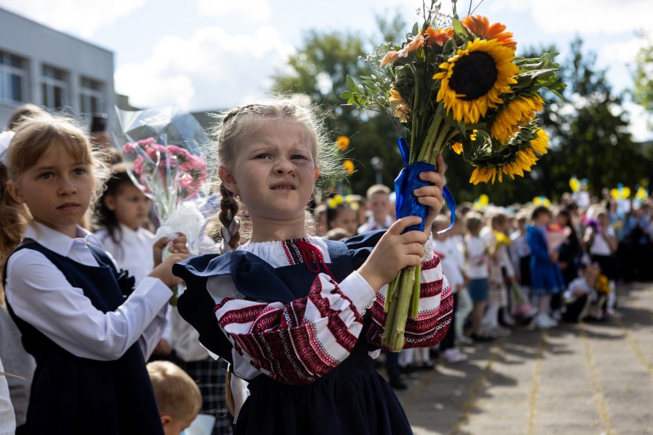 Ukrainiečių ugdymui ir studijoms – per 38 mln. eurų