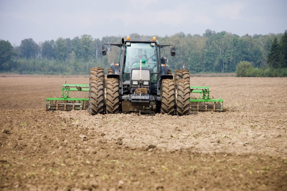 K. Navickas: mažinant pesticidų naudojimą, reikia atsižvelgti į realybę