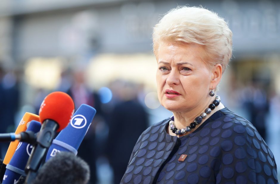 Augant nerimui dėl prekybos karų, D. Grybauskaitė vyksta į Kiniją