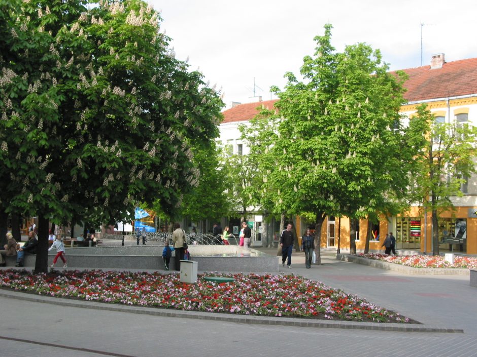 Panevėžys suka galvą, kaip tvarkyti centrinę miesto aikštę