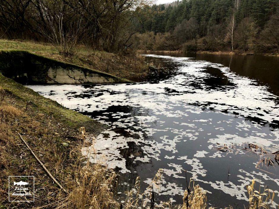 Į Nerį teršalai plūsta iš „Vilniaus vandenų“ vamzdžio?