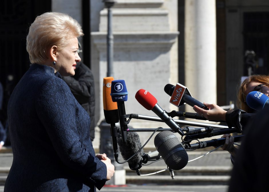 D. Grybauskaitė: Lietuva didins indėlį misijose Artimuosiuose Rytuose