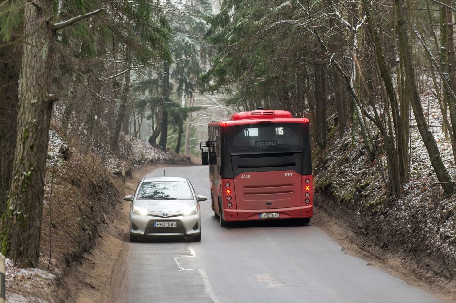 Ar bus autobusas, lems politinis sprendimas