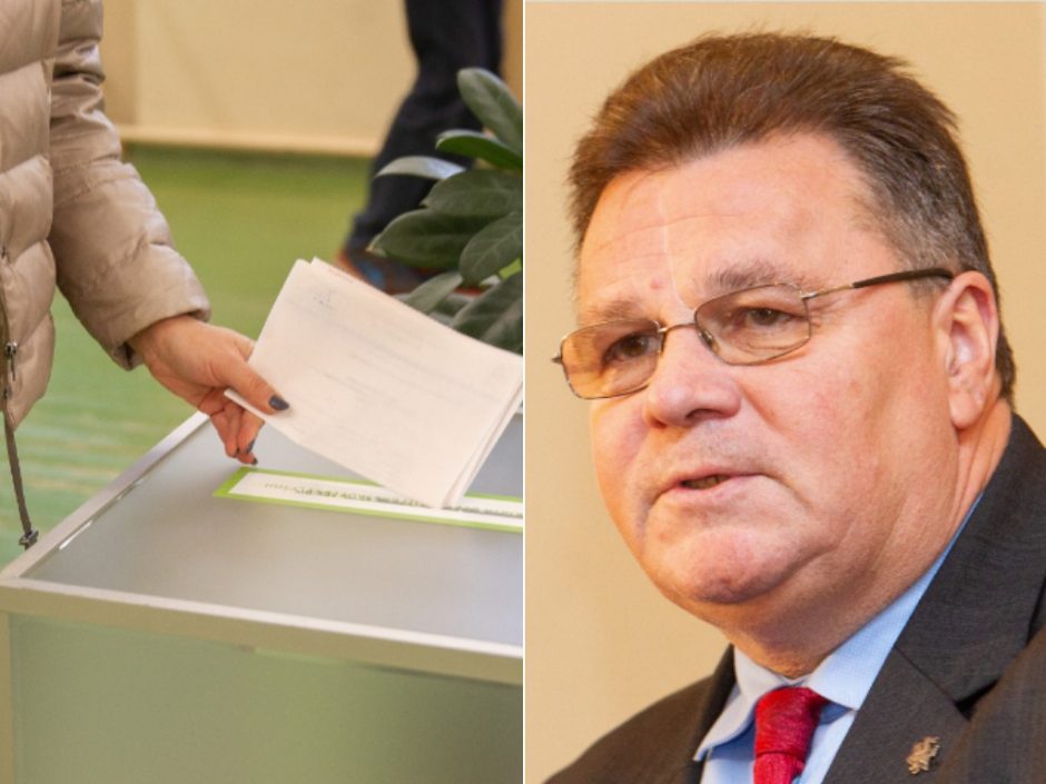 L. Linkevičius ragina užsienio lietuviams įsteigti dvi rinkimų apygardas
