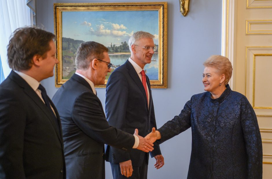 D. Grybauskaitė ragina Latviją nedelsti dėl elektros tinklų sinchronizacijos