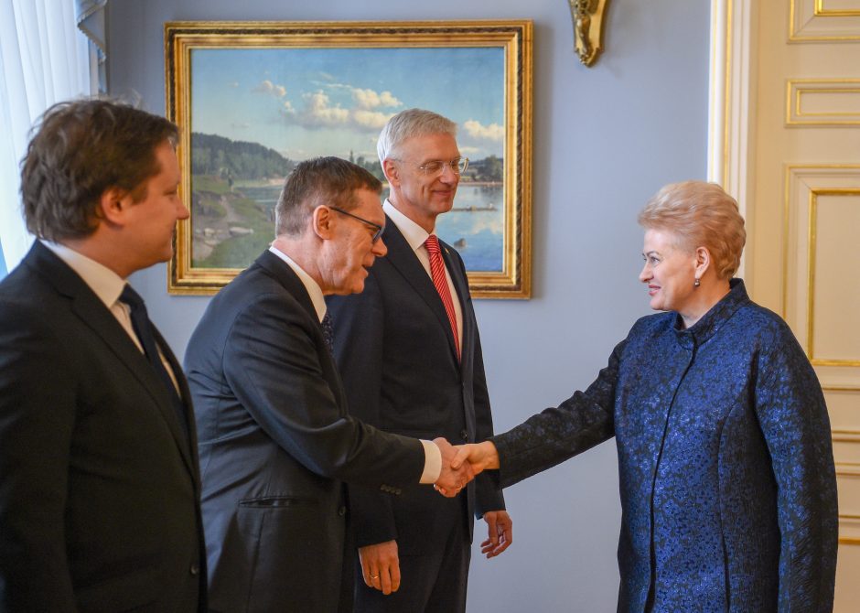 D. Grybauskaitė ragina Latviją nedelsti dėl elektros tinklų sinchronizacijos