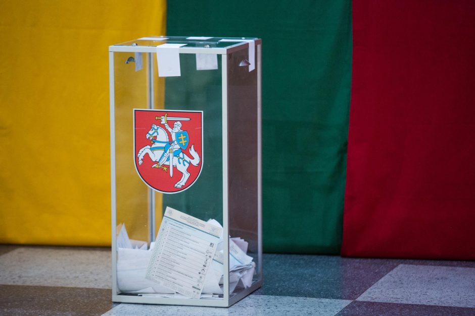 G. Nausėda kalba apie referendumą: dvigubą pilietybę reikia įteisinti