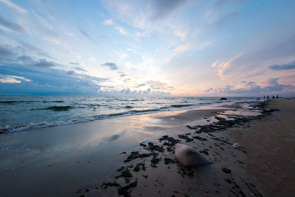 Gamtosaugininkai perspėja: Baltijos jūra yra viena labiausiai užterštų jūrų pasaulyje
