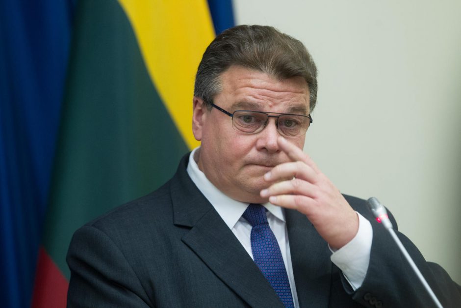 Dėl L. Linkevičiaus vizito Baltarusijoje šaukiamas neeilinis posėdis Seime