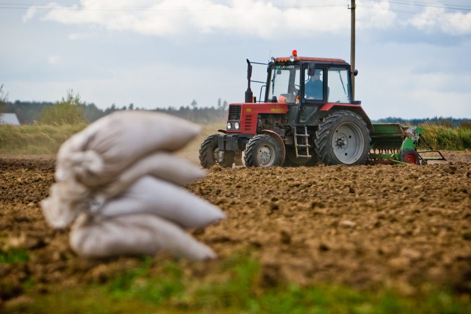 Ūkininkams išmokėta beveik 300 mln. eurų tiesioginių ir kompensacinių išmokų avansų