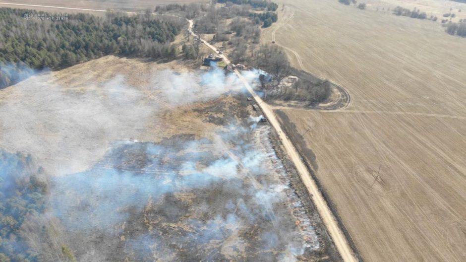 Miškininkai įspėja apie gaisrų pavojų: prašo nedeginti pernykštės žolės