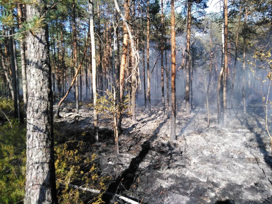 Prasidedant gaisrų sezonui – miškininkų reidai