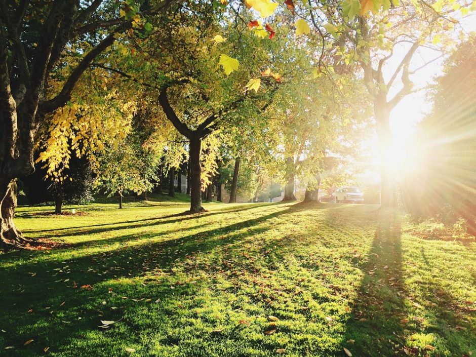 Ukmergėje planuojama įkurti Lietuvos miniatiūrų parką