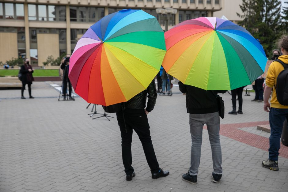 Partnerystė ir civilinė sąjunga netinka: siūlo įteisinti artimo ryšio susitarimą