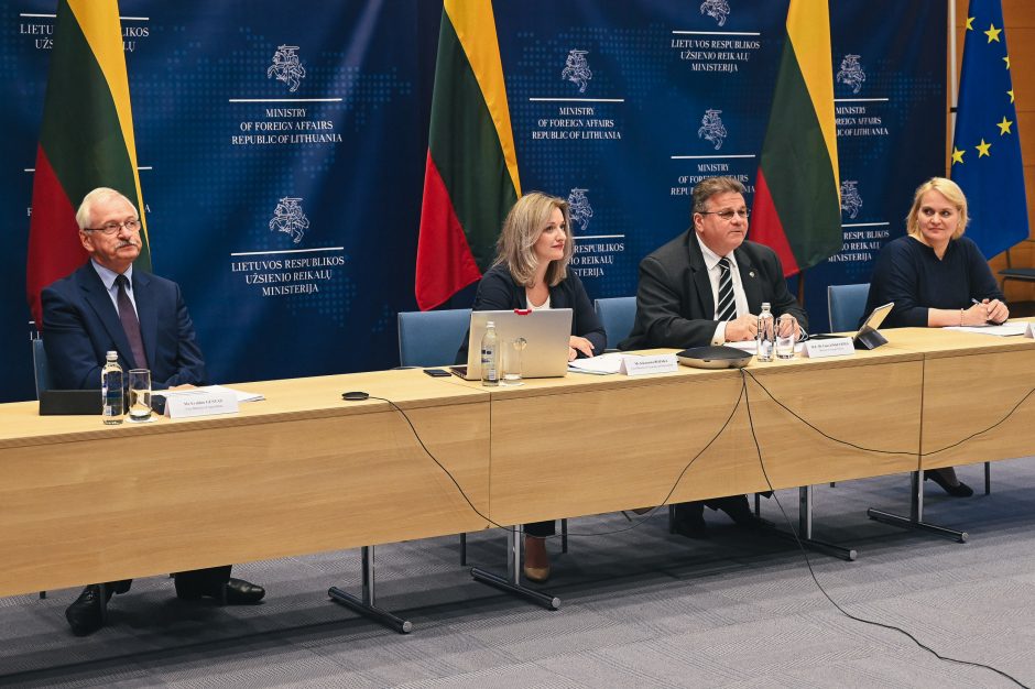 Aptartas Lietuvos ir Azerbaidžano dvišalis bendradarbiavimas