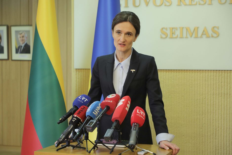 V. Čmilytė-Nielsen: tikėtina, kad partijos susitars ir dėl gynybos, ir dėl užsienio politikos