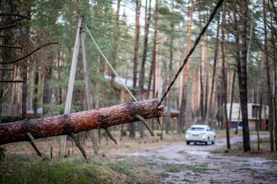 Vairuotojams prireiks budrumo: ant kelių gali būti nuvirtusių medžių ar šakų