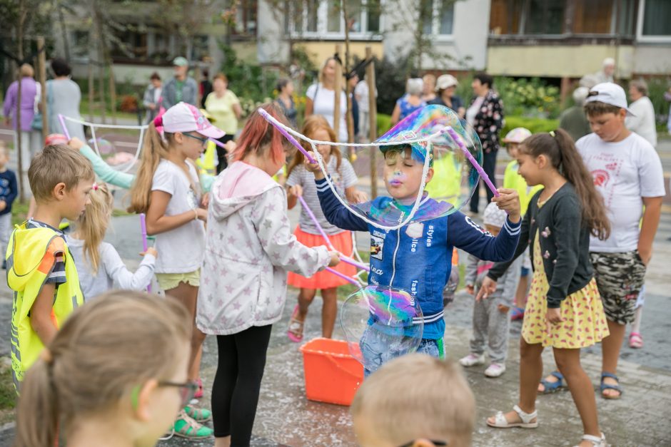 Šeškinės gyventojai patys išrinko vardą naujai alėjai