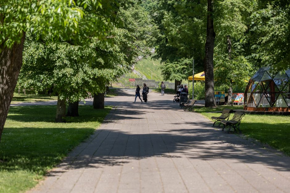 Sostinės Bernardinų sodo bevardžiams takams – Lietuvos valdovų vardai