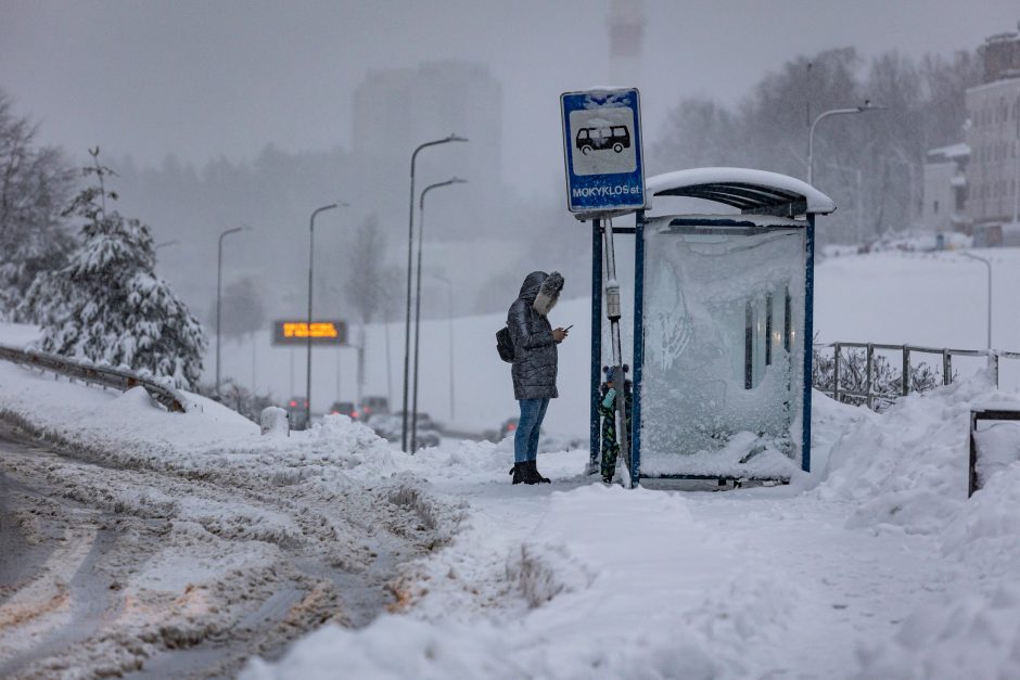 Antrą parą drebia sniegą: tarnybos dirba be perstojo, į talką kviečiami ir vilniečiai