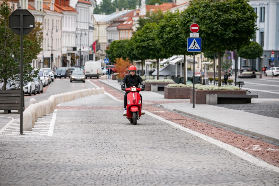 Siūlo mokytis iš kitų valstybių – Vilniuje įvesti „dviračių gatves“