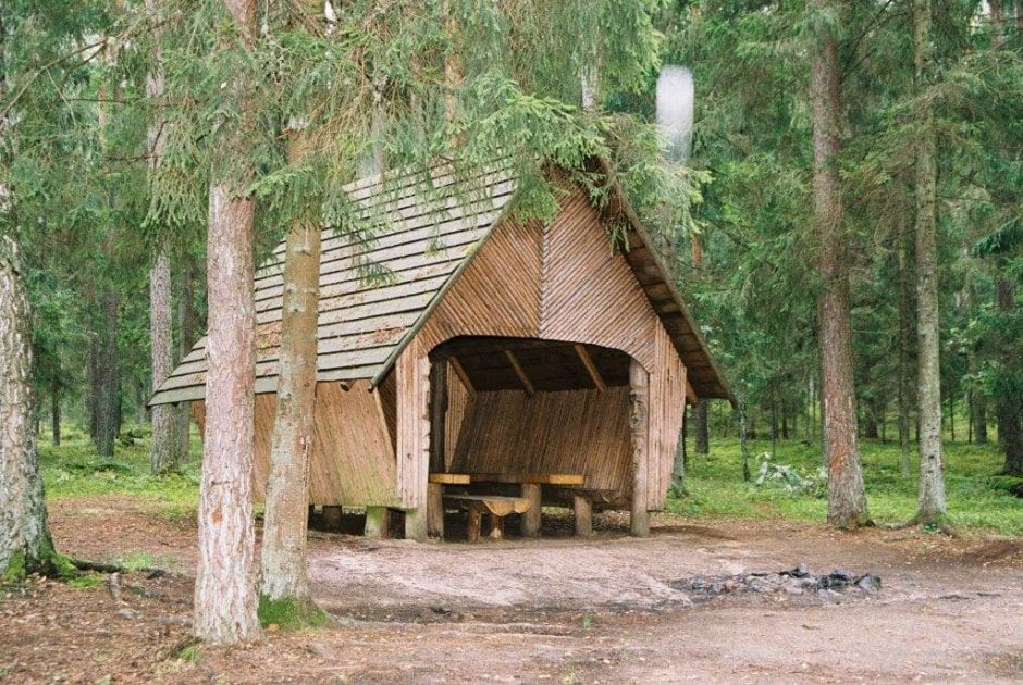 Savaitgalis Dzūkijoje: iškeisk miestą į mišką