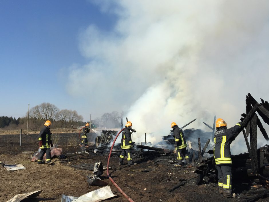 Sausi ir šilti orai iššaukia nelaimes: savaitgalį Lietuvoje kilo 288 gaisrai gamtoje