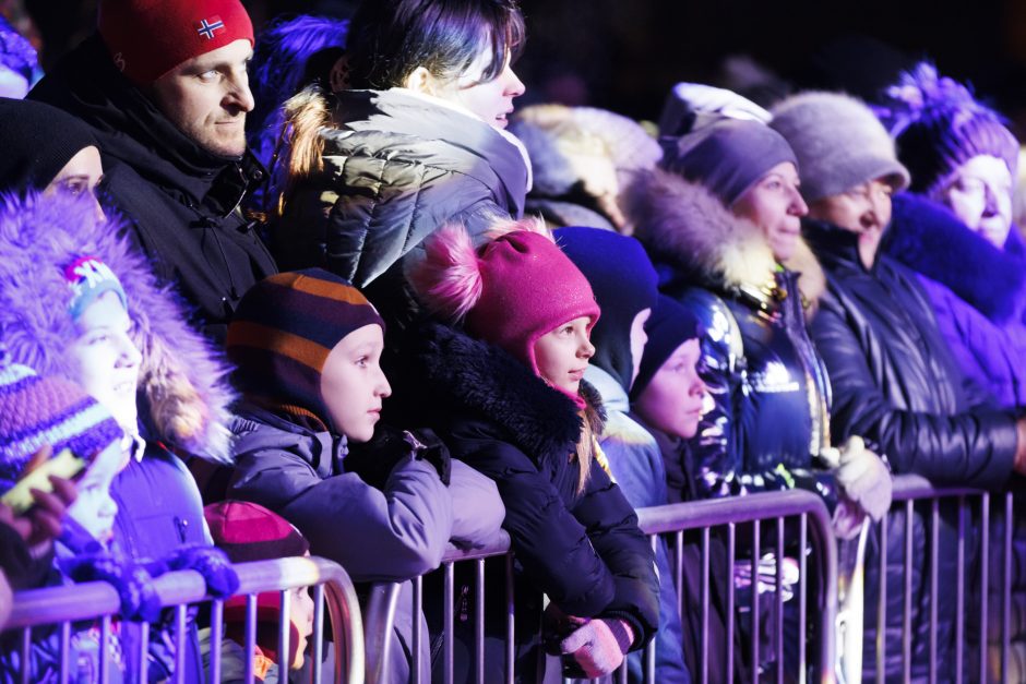 Jonavoje suspindo ne tik Kalėdų eglė – nušvito ir pasakiškas eglučių miestelis