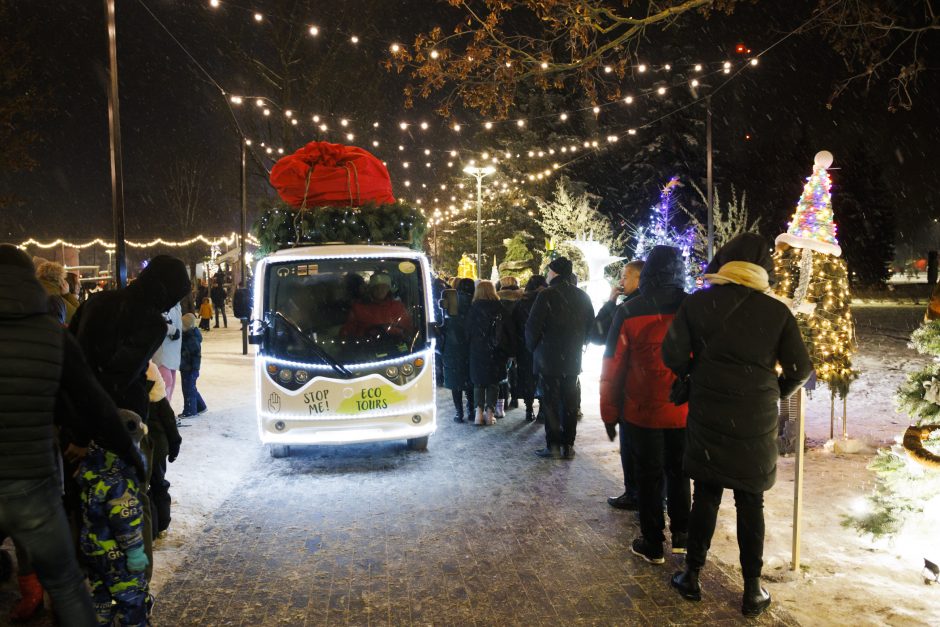 Jonavoje suspindo ne tik Kalėdų eglė – nušvito ir pasakiškas eglučių miestelis