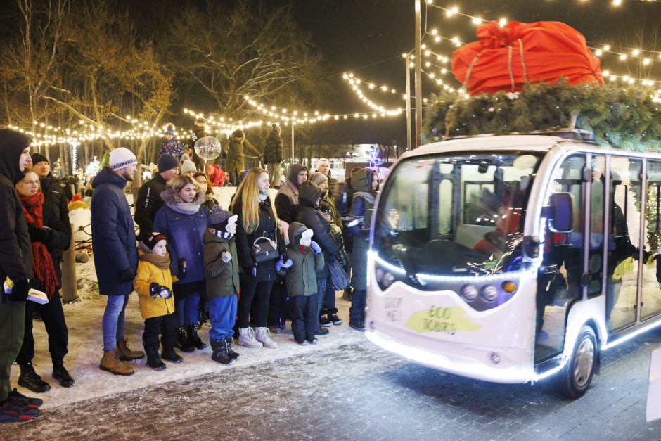 Jonavoje suspindo ne tik Kalėdų eglė – nušvito ir pasakiškas eglučių miestelis