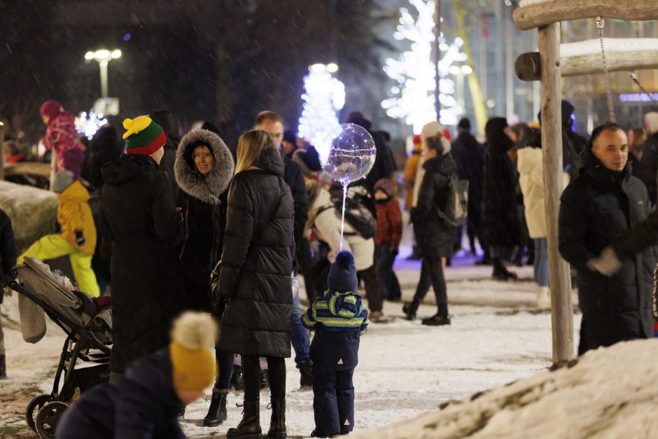 Jonavoje suspindo ne tik Kalėdų eglė – nušvito ir pasakiškas eglučių miestelis