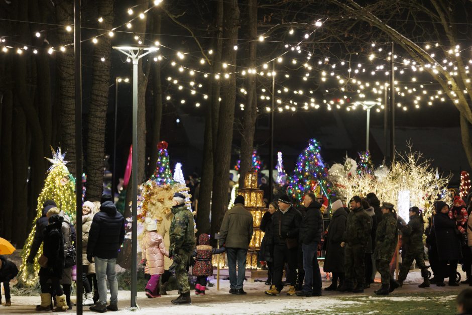 Jonavoje suspindo ne tik Kalėdų eglė – nušvito ir pasakiškas eglučių miestelis